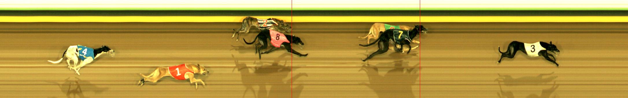 Photo finish for Sandown Park Race 2