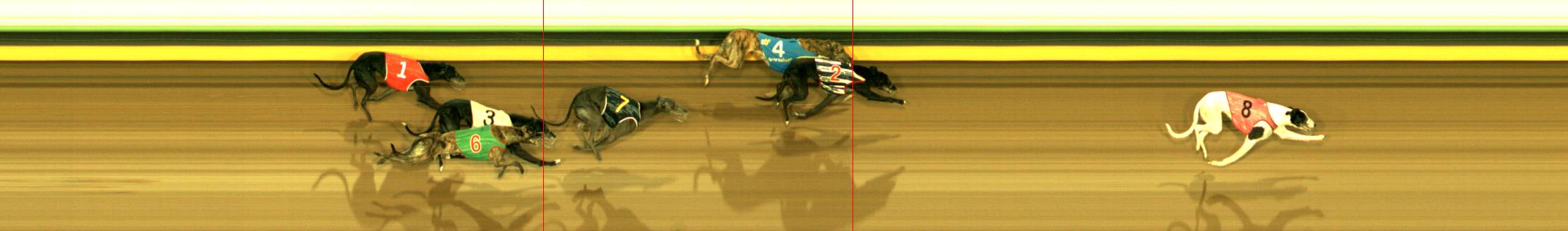 Photo finish for Sandown Race 3