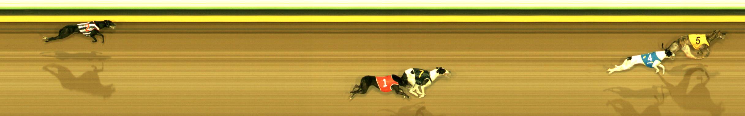 Photo finish for Sandown Park Race 4
