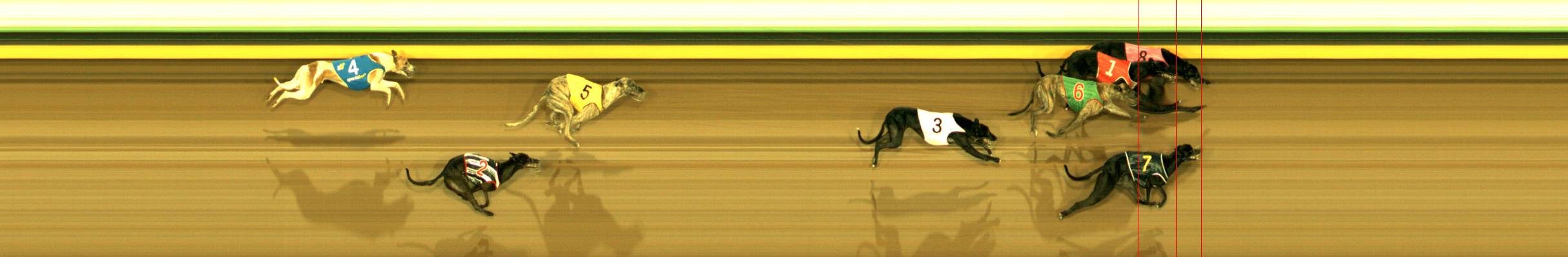 Photo finish for Sandown Park Race 5