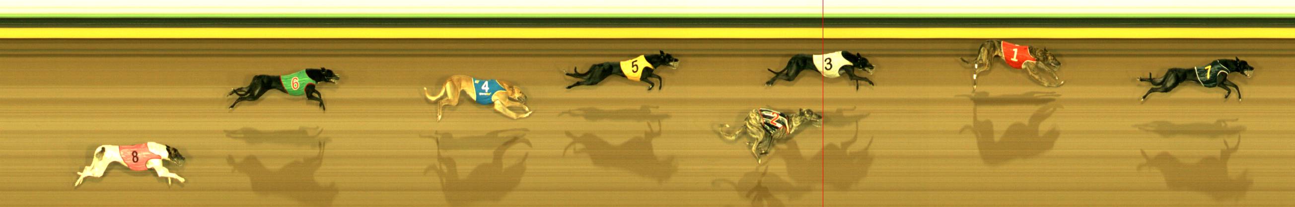 Photo finish for Sandown Park Race 6