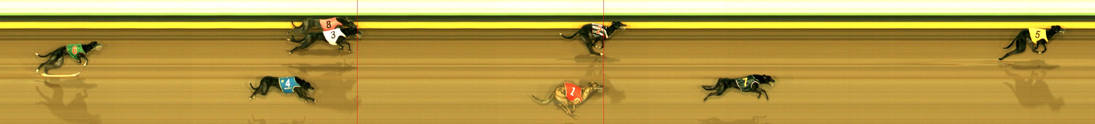 Photo finish for Sandown Race 7