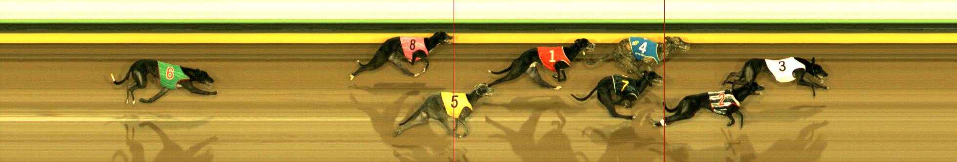 Photo finish for Sandown Race 8