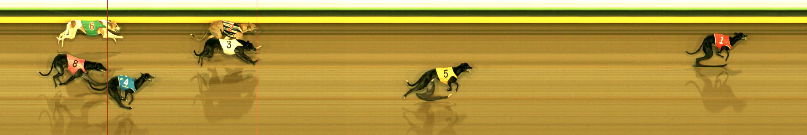 Photo finish for Sandown Race 9