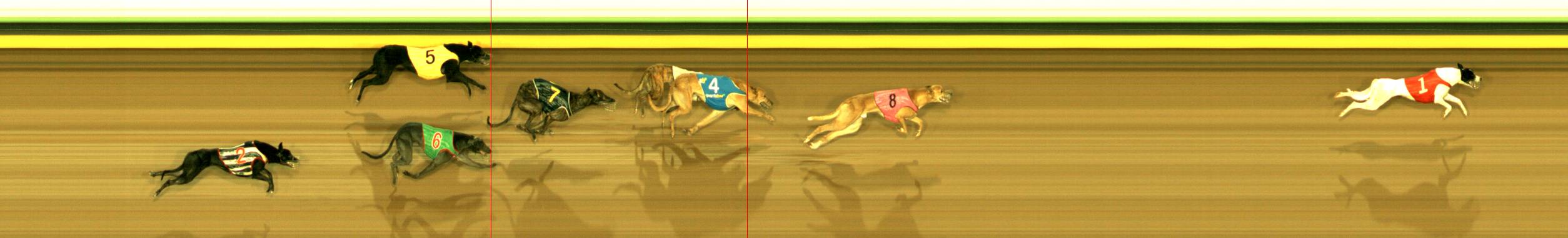 Photo finish for Sandown Park Race 10