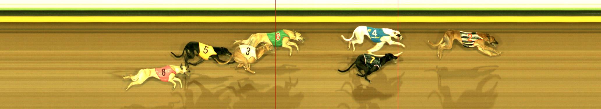 Photo finish for Sandown Park Race 11