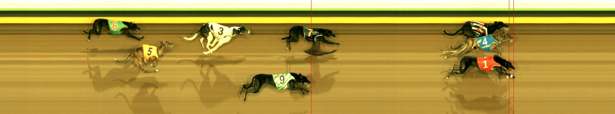 Photo finish for Sandown Race 12
