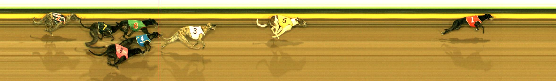 Photo finish for Sandown Race 1