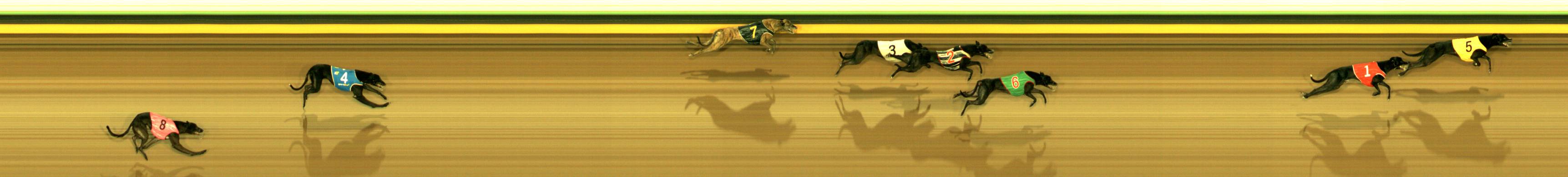 Photo finish for Sandown Race 2