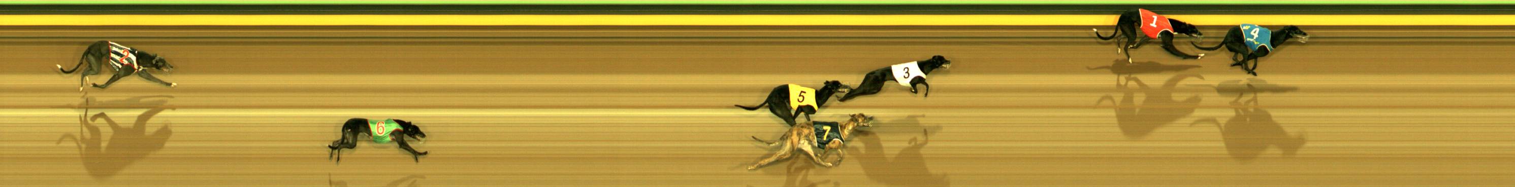 Photo finish for Sandown Race 3
