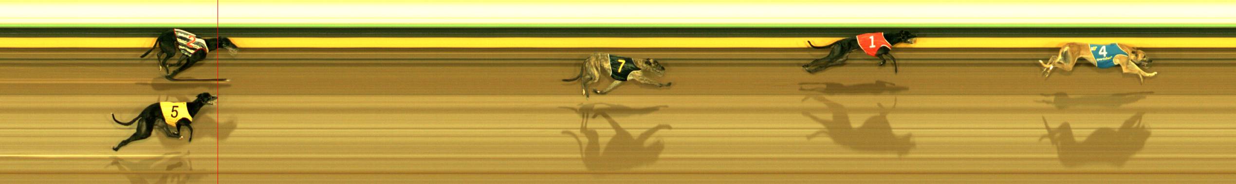 Photo finish for Sandown Race 4