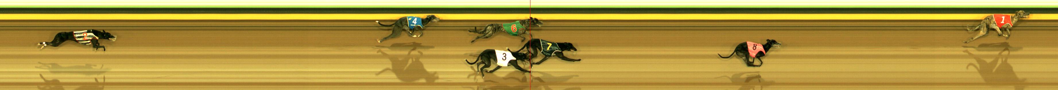 Photo finish for Sandown Race 5