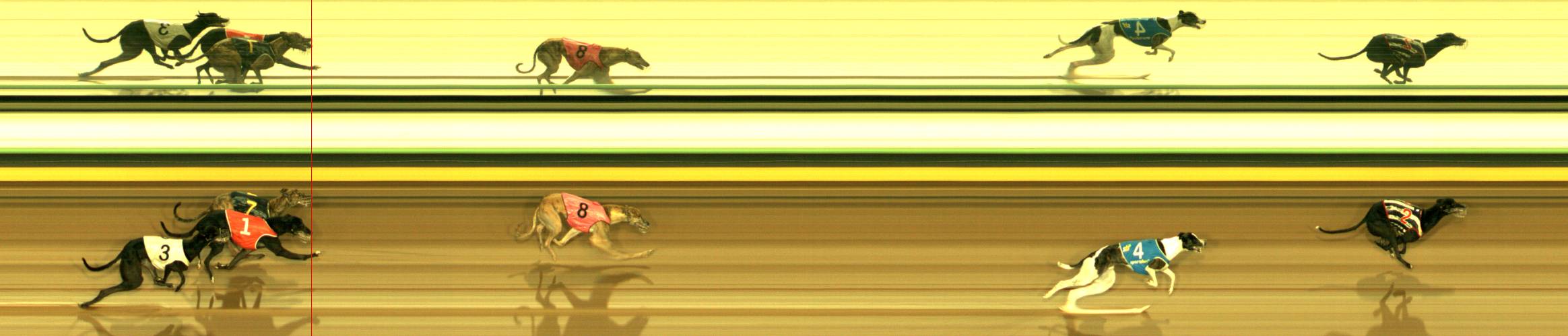 Photo finish for Sandown Race 7