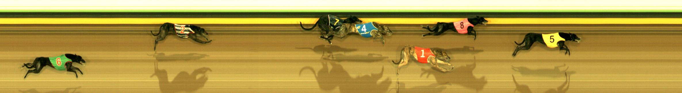 Photo finish for Sandown Race 8