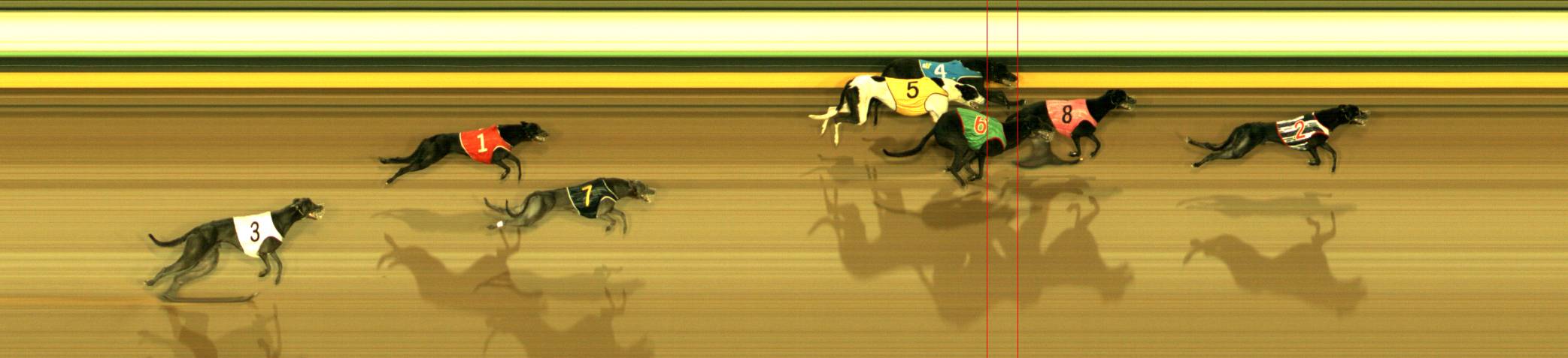 Photo finish for Sandown Race 9