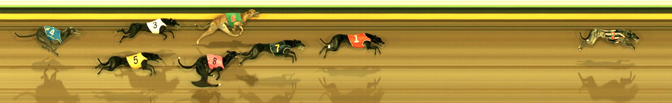 Photo finish for Sandown Race 10
