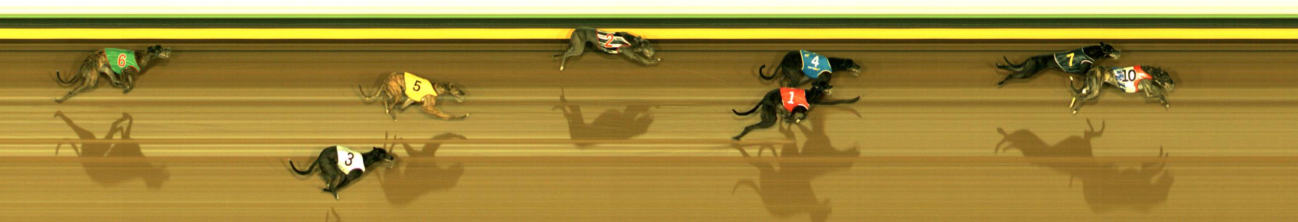 Photo finish for Sandown Race 11
