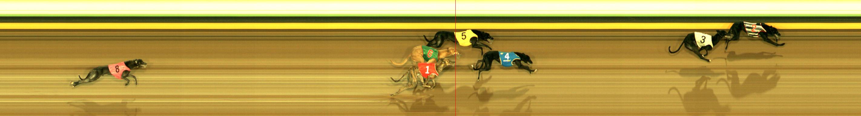 Photo finish for Sandown Race 12