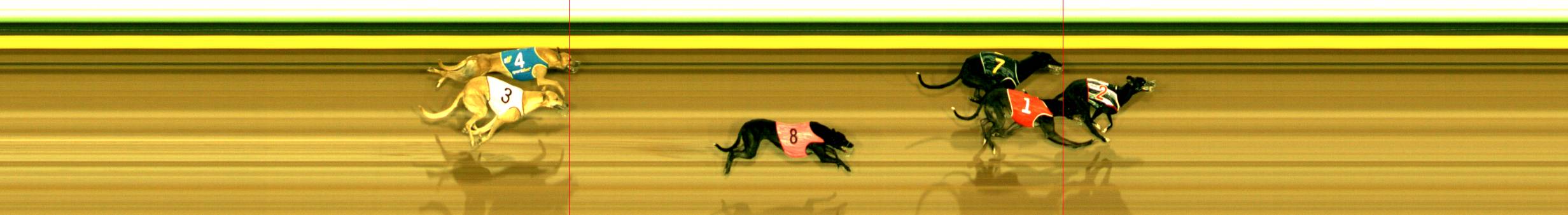 Photo finish for Sandown Race 1