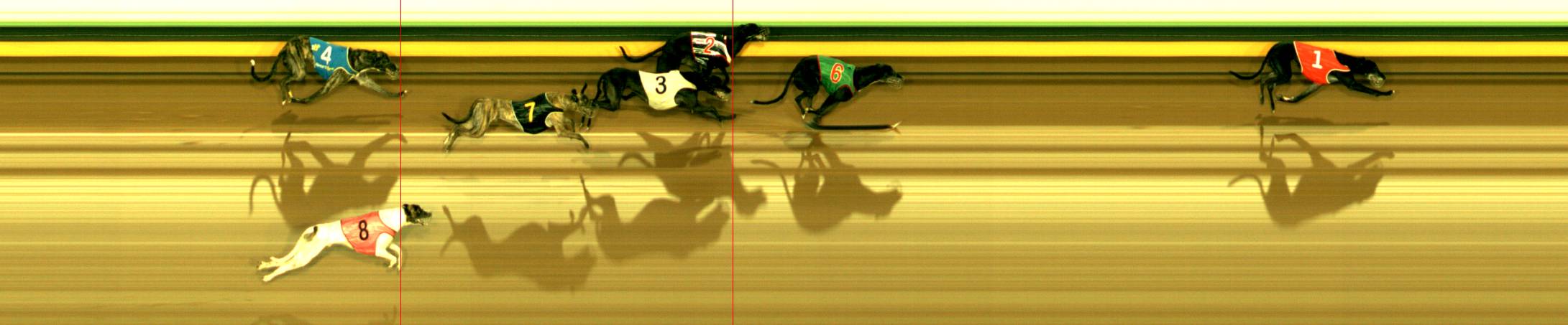 Photo finish for Sandown Race 2