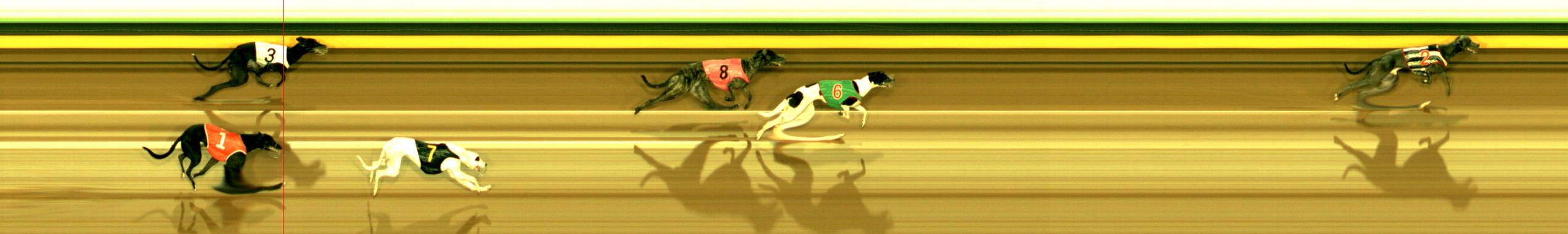 Photo finish for Sandown Race 3