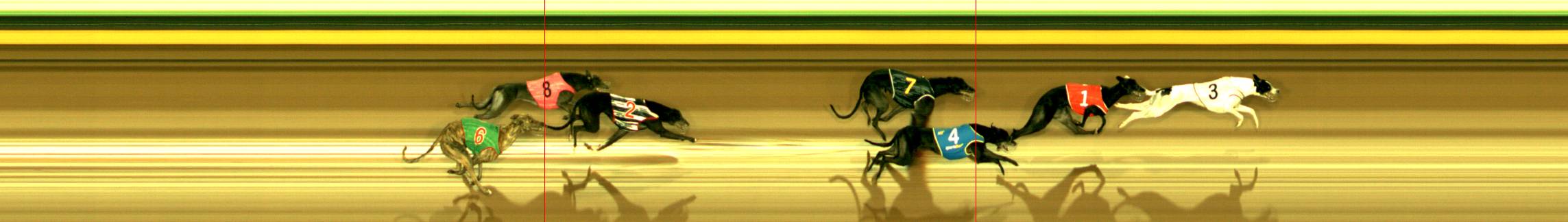 Photo finish for Sandown Race 4