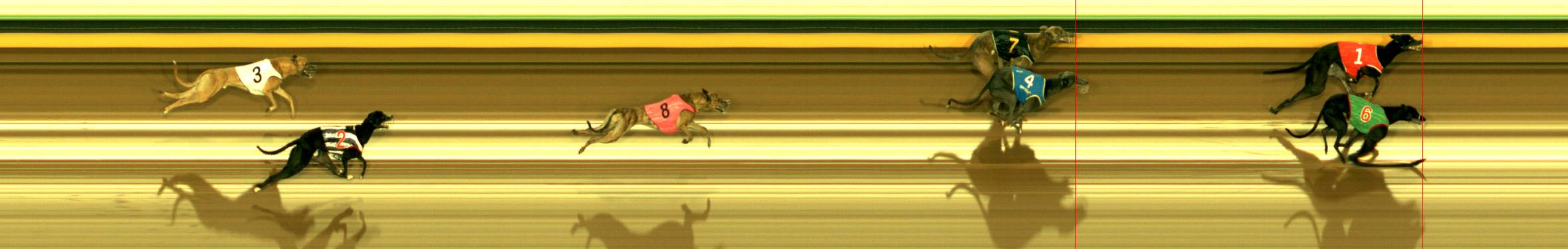 Photo finish for Sandown Race 5