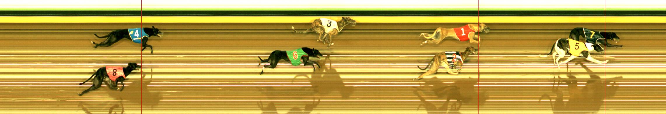 Photo finish for Sandown Race 8