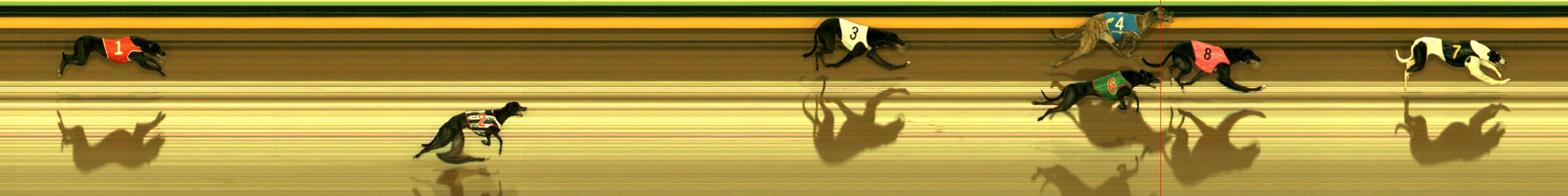 Photo finish for Sandown Race 11