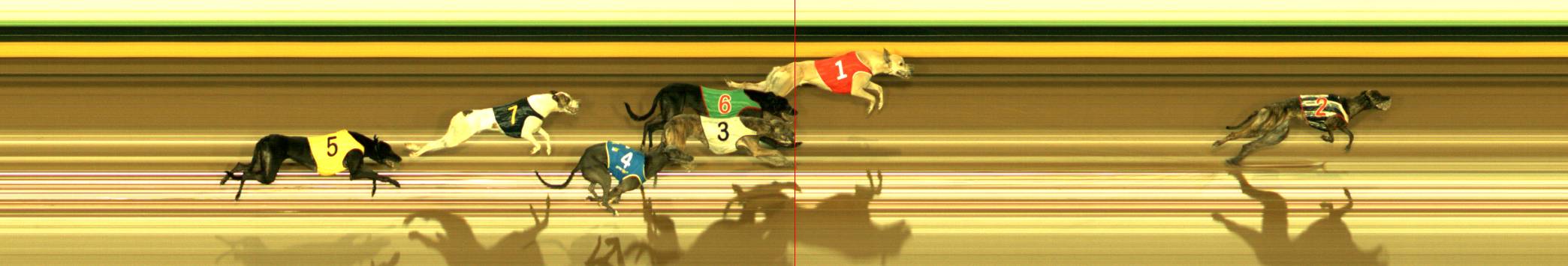 Photo finish for Sandown Race 12