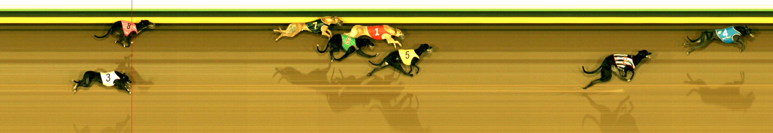 Photo finish for Sandown Race 1
