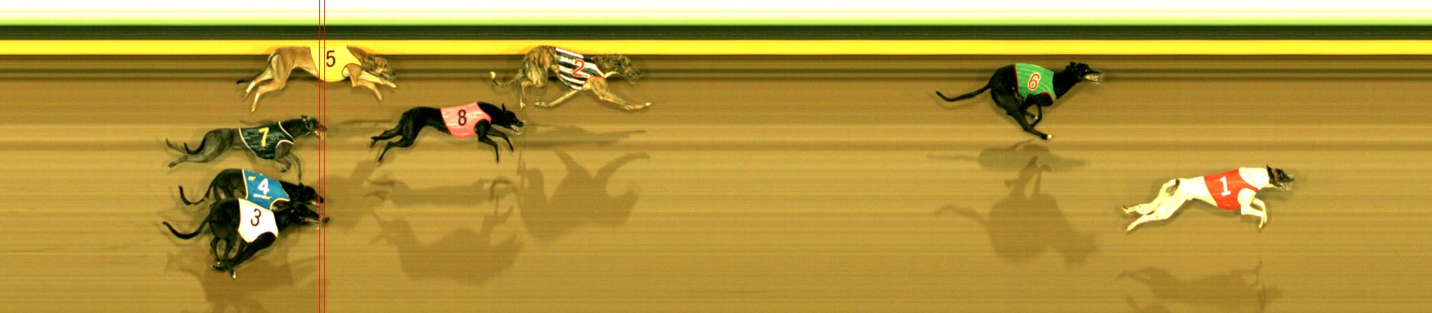 Photo finish for Sandown Race 2