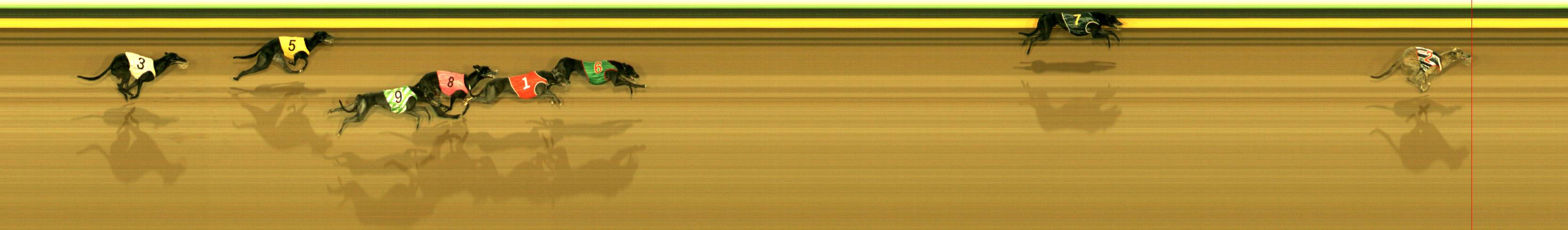 Photo finish for Sandown Race 3