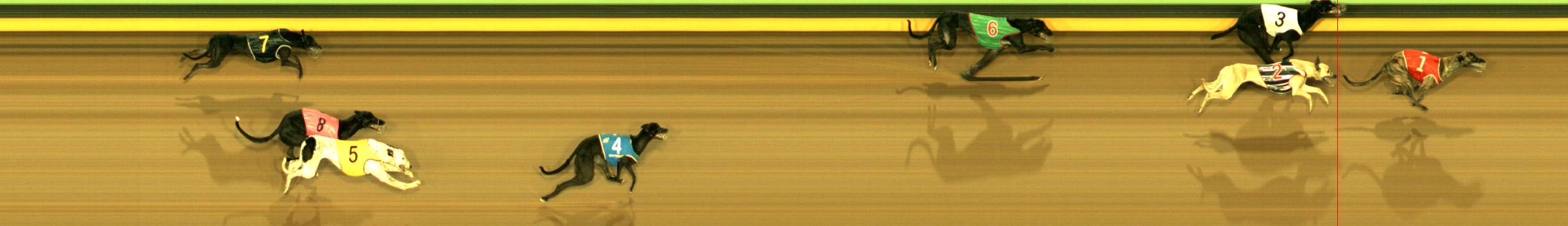Photo finish for Sandown Race 4