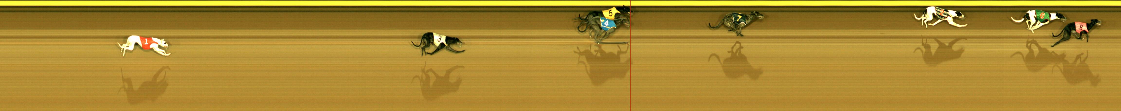 Photo finish for Sandown Race 5