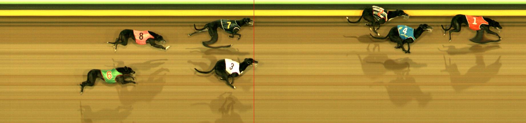 Photo finish for Sandown Race 6
