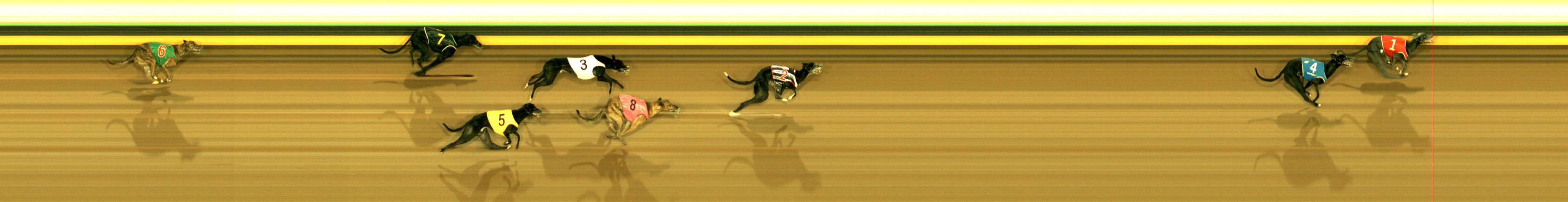 Photo finish for Sandown Race 8
