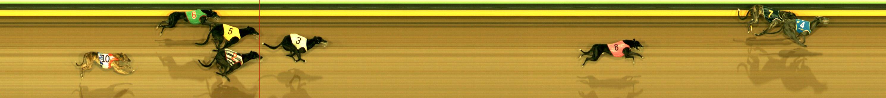 Photo finish for Sandown Race 9