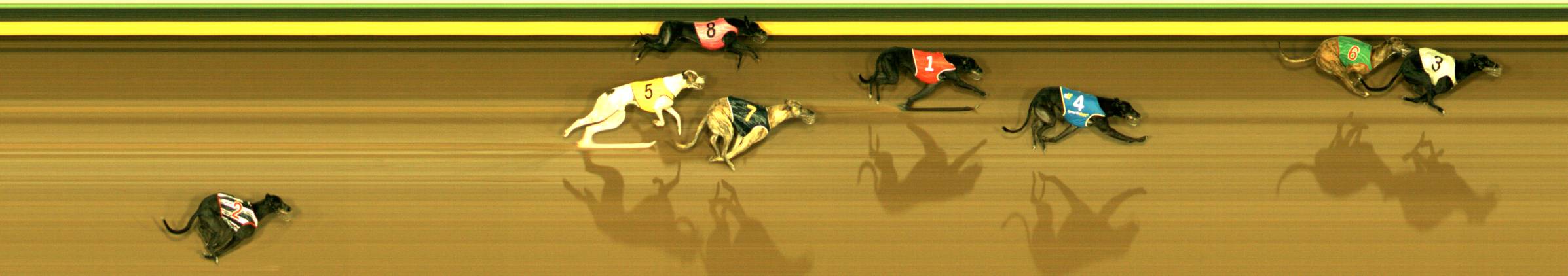 Photo finish for Sandown Race 11