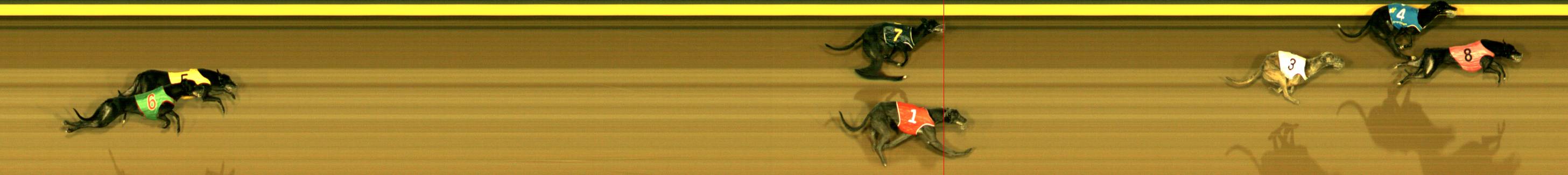 Photo finish for Sandown Race 12
