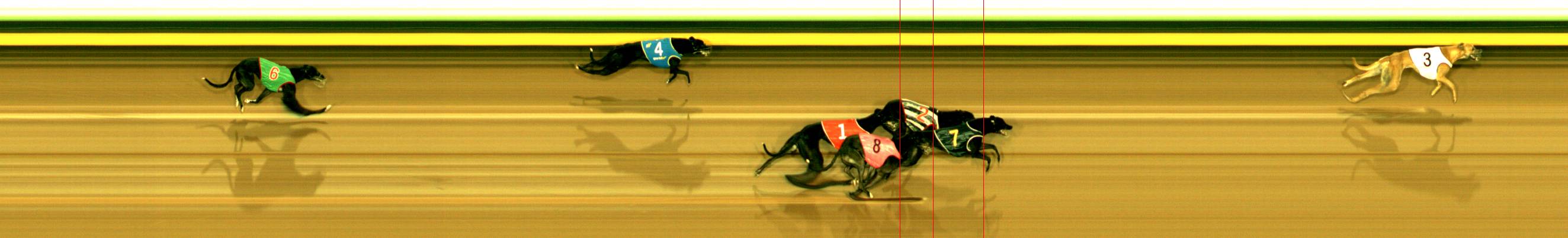Photo finish for Sandown Race 1