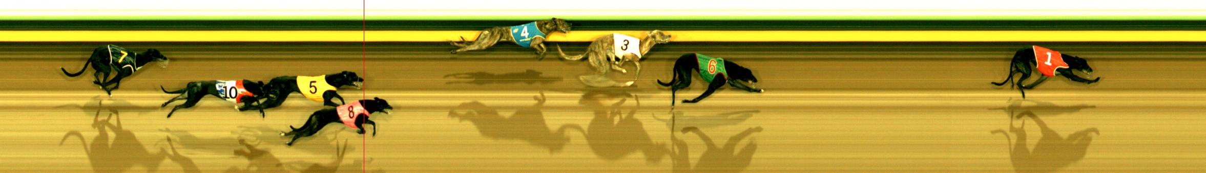 Photo finish for Sandown Race 2