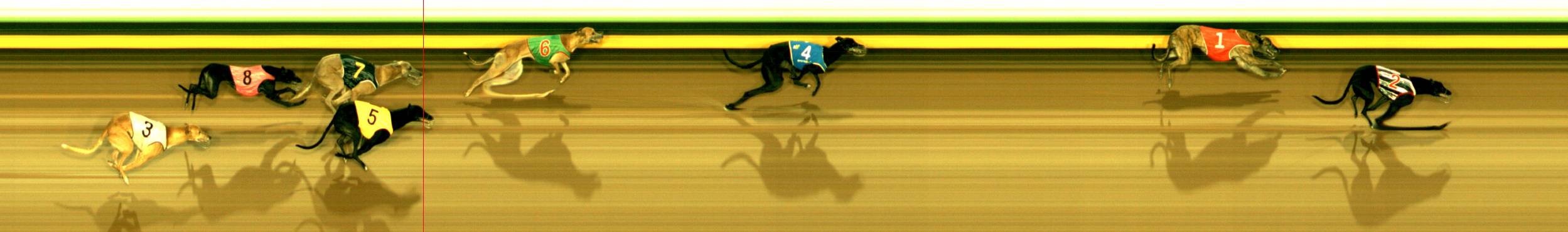 Photo finish for Sandown Race 3