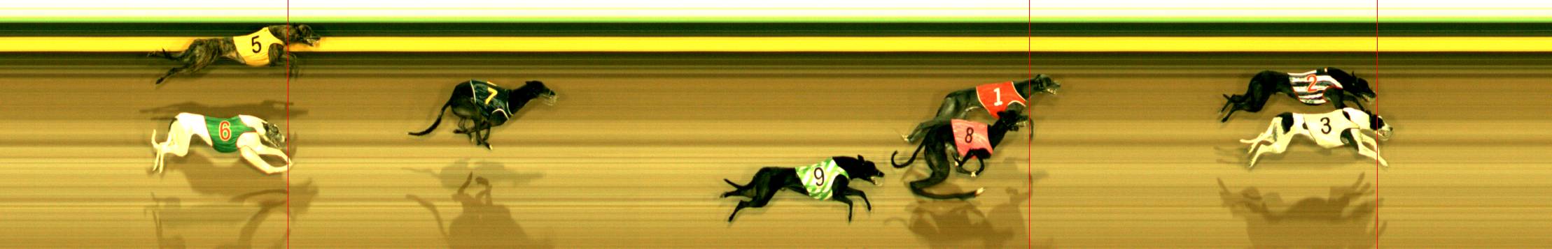 Photo finish for Sandown Race 4