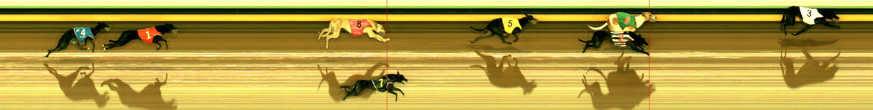 Photo finish for Sandown Race 5