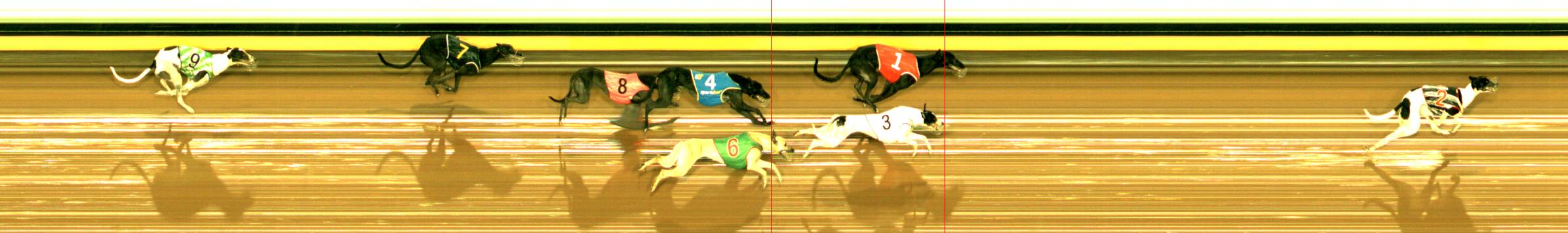 Photo finish for Sandown Race 6