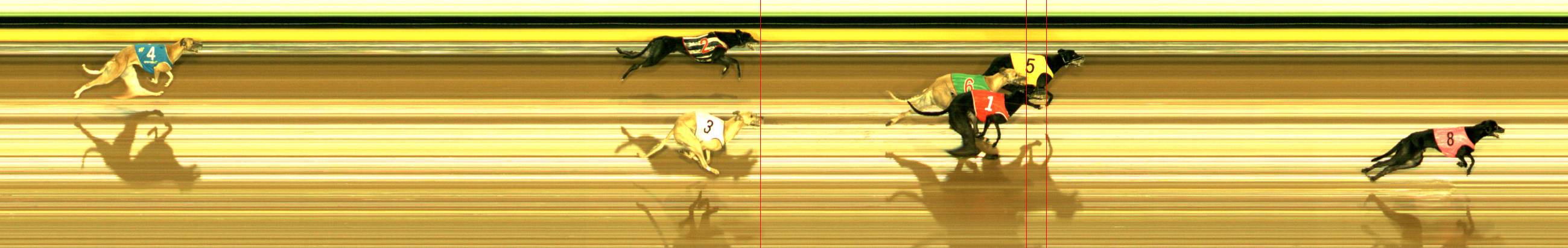 Photo finish for Sandown Race 7