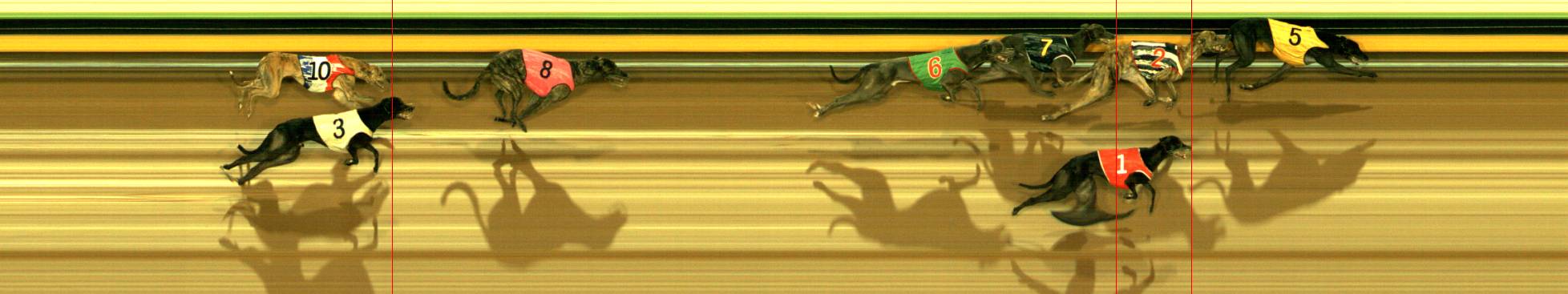 Photo finish for Sandown Race 8