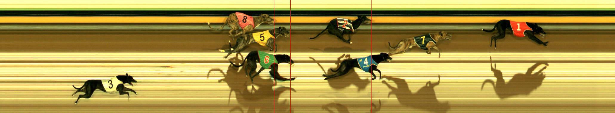 Photo finish for Sandown Race 9
