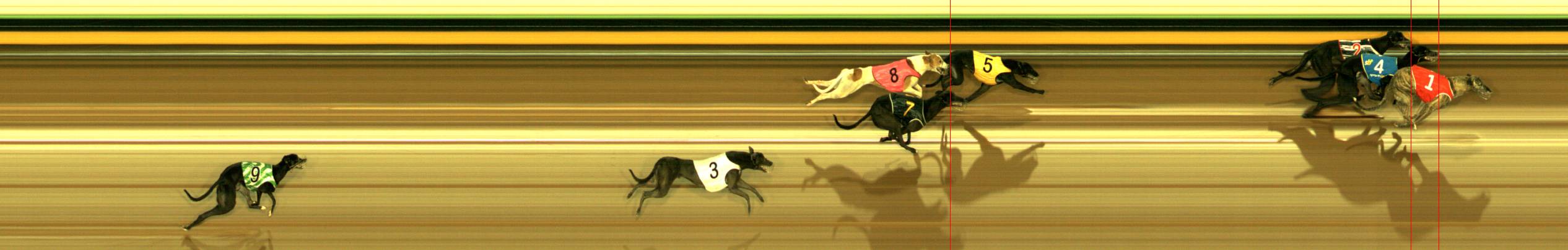 Photo finish for Sandown Race 10